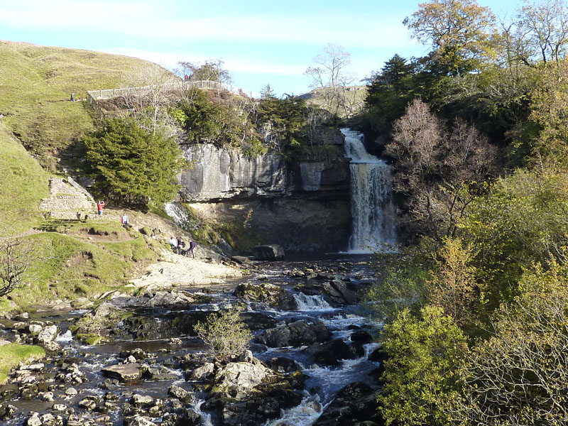Thornton Force